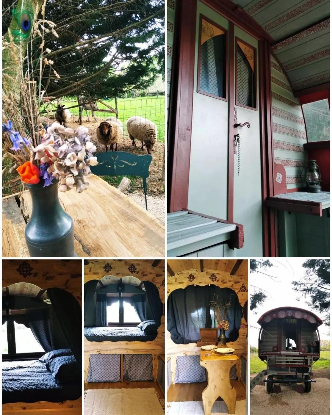 Hotel Roulotte Irlandaise Polly Saint-Vincent-en-Bresse Esterno foto