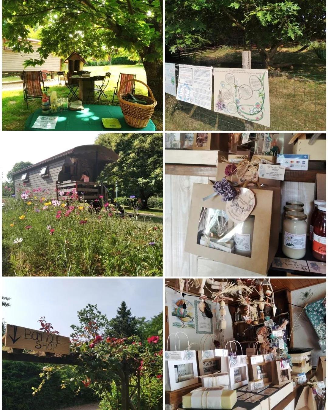 Hotel Roulotte Irlandaise Polly Saint-Vincent-en-Bresse Esterno foto