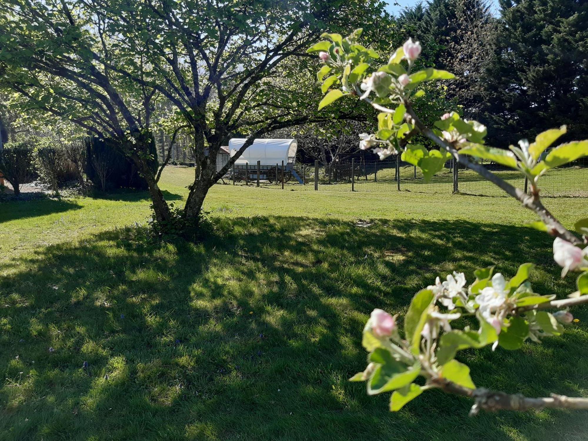 Hotel Roulotte Irlandaise Polly Saint-Vincent-en-Bresse Esterno foto